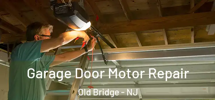  Garage Door Motor Repair Old Bridge - NJ