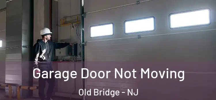  Garage Door Not Moving Old Bridge - NJ