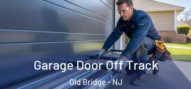  Garage Door Off Track Old Bridge - NJ