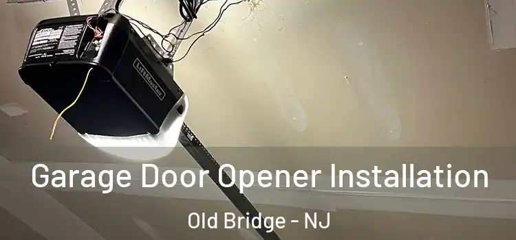  Garage Door Opener Installation Old Bridge - NJ