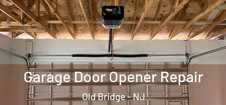  Garage Door Opener Repair Old Bridge - NJ