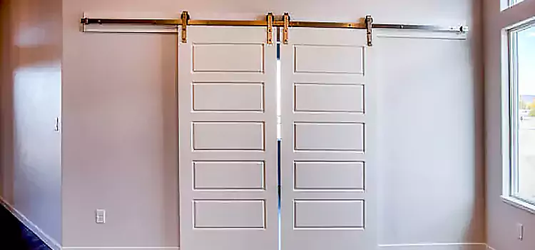 Glass Barn Door with Installation Hardware Kit Old Bridge