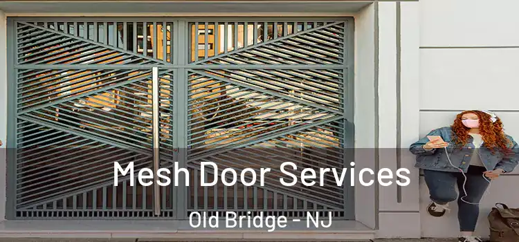  Mesh Door Services Old Bridge - NJ